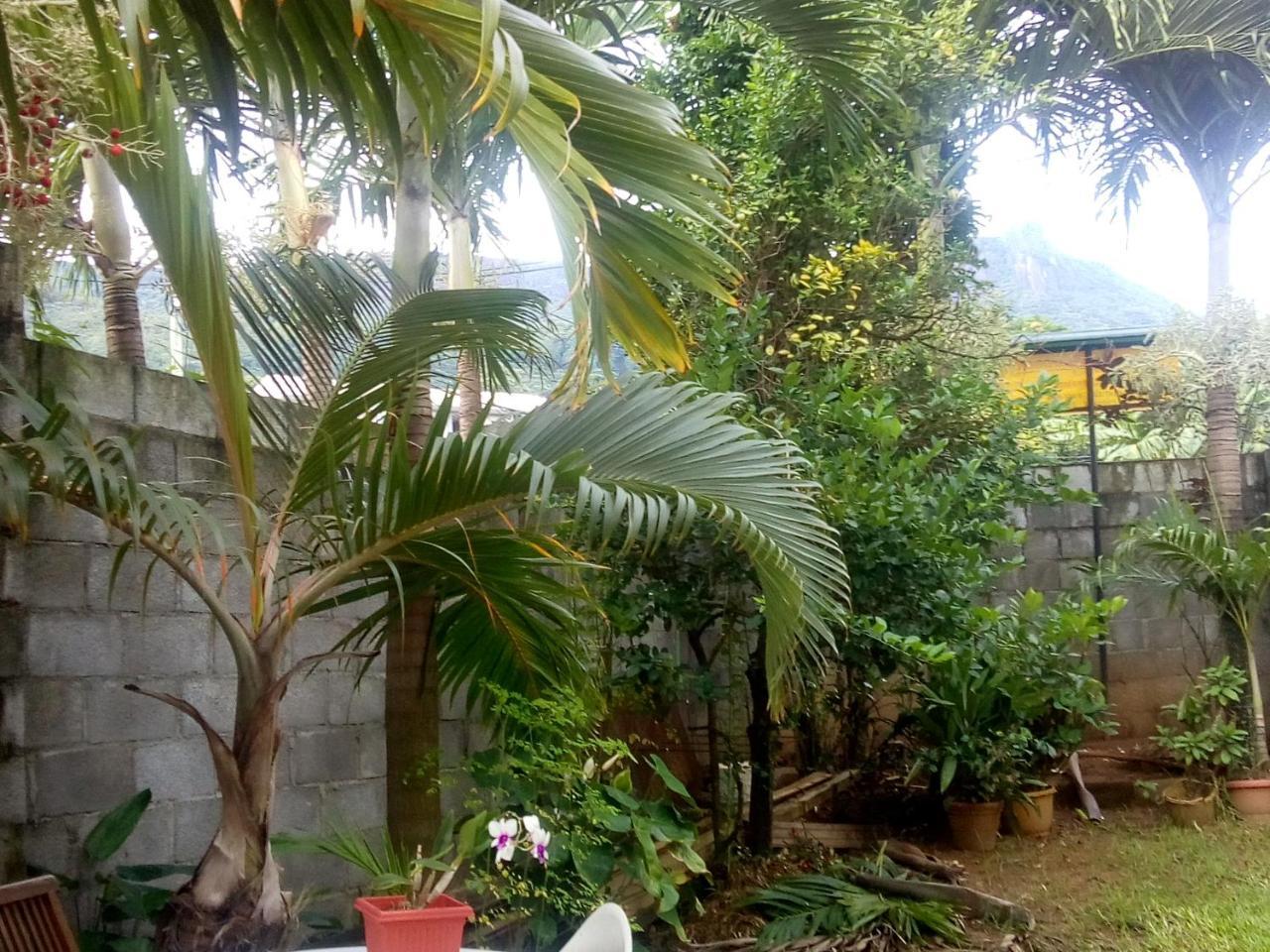 Corner Bay Apartments Beau Vallon,Mahe Victoria Dış mekan fotoğraf
